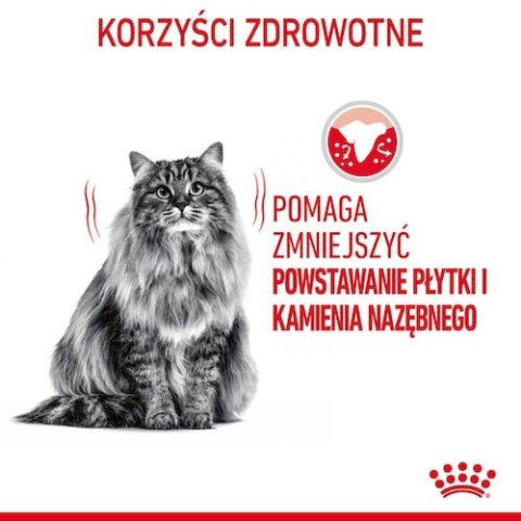 Royal Canin Dental Care karma sucha dla kotów dorosłych, redukująca odkładanie kamienia nazębnego 3,5kg Royal Canin Dental Care karma sucha dla kotów dorosłych, redukująca odkładanie kamienia nazębnego 3,5kg
