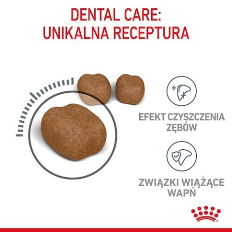 Royal Canin Dental Care karma sucha dla kotów dorosłych, redukująca odkładanie kamienia nazębnego 3,5kg Royal Canin Dental Care karma sucha dla kotów dorosłych, redukująca odkładanie kamienia nazębnego 3,5kg