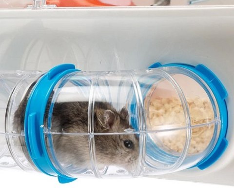 Ferplast Combi 1 - klatka dla chomika Ferplast Combi 1 - klatka dla chomika