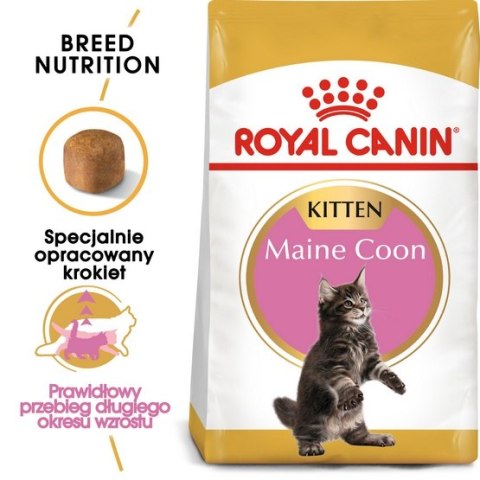 Royal Canin Maine Coon Kitten karma sucha dla kociąt, do 15 miesiąca, rasy maine coon 2kg Royal Canin Maine Coon Kitten karma sucha dla kociąt, do 15 miesiąca, rasy maine coon 2kg