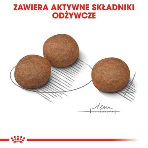 Royal Canin Medium Digestive Care karma sucha dla psów dorosłych, ras średnich o wrażliwym przewodzie pokarmowym 3kg Royal Canin Medium Digestive Care karma sucha dla psów dorosłych, ras średnich o wrażliwym przewodzie pokarmowym 3kg