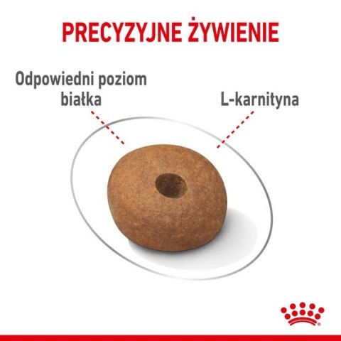 Royal Canin Medium Light Weight Care karma sucha dla psów dorosłych, ras średnich tendencją do nadwagi 3kg Royal Canin Medium Light Weight Care karma sucha dla psów dorosłych, ras średnich tendencją do nadwagi 3kg