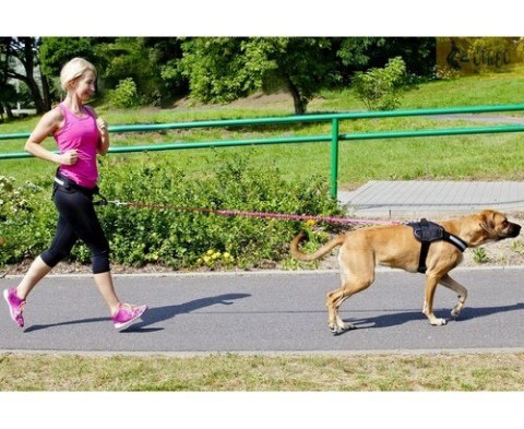 Dingo Pas do biegania Profi - 4 możliwości zapinania Dingo Pas do biegania Profi - 4 możliwości zapinania