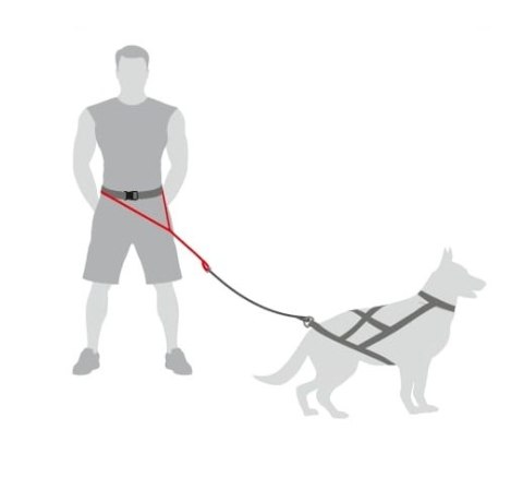 Dingo Pas do biegania Profi - 4 możliwości zapinania Dingo Pas do biegania Profi - 4 możliwości zapinania