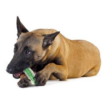 Petstages CrunchCore medium PS265 Petstages CrunchCore medium PS265