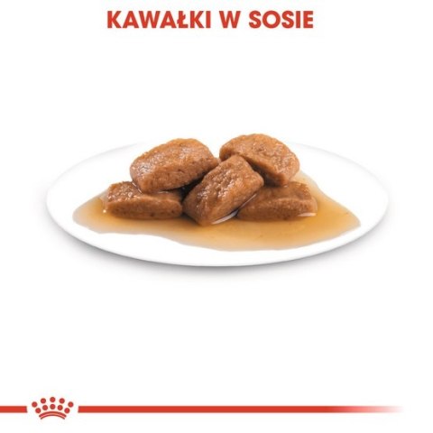 Royal Canin Maxi Ageing 8+ karma mokra w sosie dla psów dojrzałych, po 8 roku życia, ras dużych saszetka 140g Royal Canin Maxi Ageing 8+ karma mokra w sosie dla psów dojrzałych, po 8 roku życia, ras dużych saszetka 140g