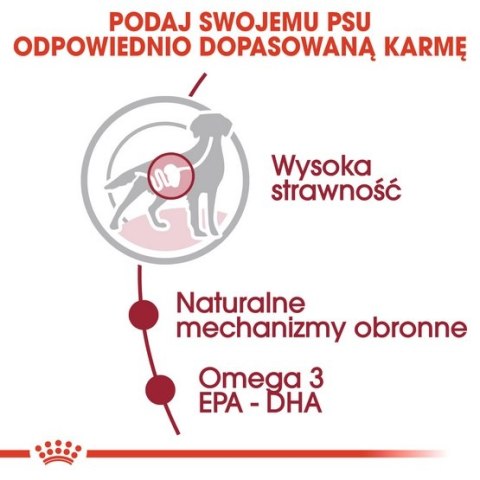 Royal Canin Medium Adult karma mokra w sosie dla psów dorosłych, ras średnich saszetika 140g Royal Canin Medium Adult karma mokra w sosie dla psów dorosłych, ras średnich saszetika 140g