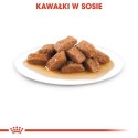 Royal Canin Medium Adult karma mokra w sosie dla psów dorosłych, ras średnich saszetika 140g