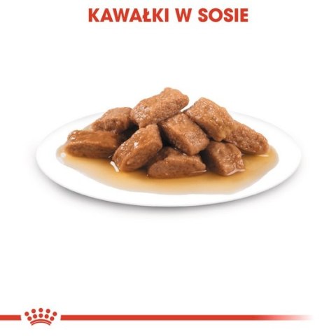 Royal Canin Medium Ageing 10+ karma mokra w sosie dla psów dojrzałych po 10 roku życia, ras średnich saszetka 140g Royal Canin Medium Ageing 10+ karma mokra w sosie dla psów dojrzałych po 10 roku życia, ras średnich saszetka 140g