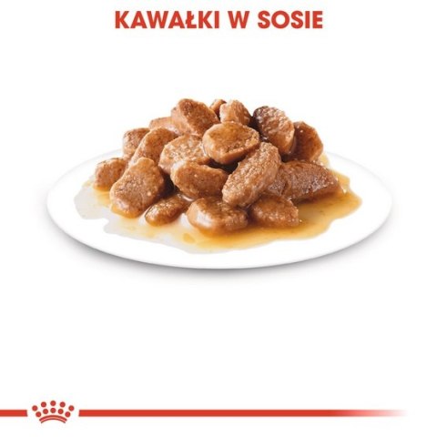Royal Canin Mini Ageing karma mokra w sosie dla psów dojrzałych po 8 roku życia, ras małych saszetka 85g Royal Canin Mini Ageing karma mokra w sosie dla psów dojrzałych po 8 roku życia, ras małych saszetka 85g