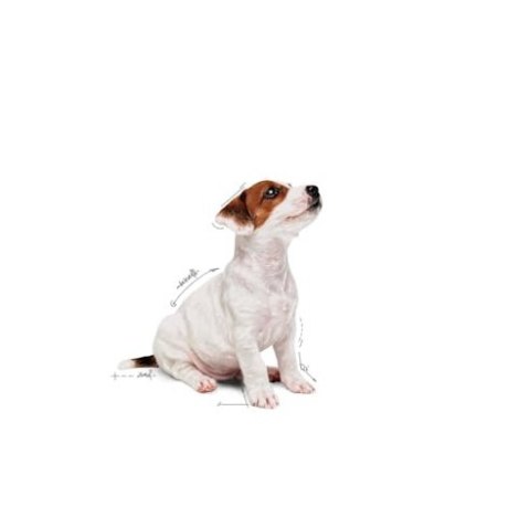 Royal Canin Mini Puppy karma mokra w sosie dla szczeniąt, od 2 do 10 miesiąca życia, ras małych saszetka 85g Royal Canin Mini Puppy karma mokra w sosie dla szczeniąt, od 2 do 10 miesiąca życia, ras małych saszetka 85g