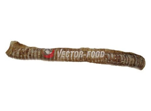 Vector-Food Tchawica wołowa cała 1szt/35cm Vector-Food Tchawica wołowa cała 1szt/35cm
