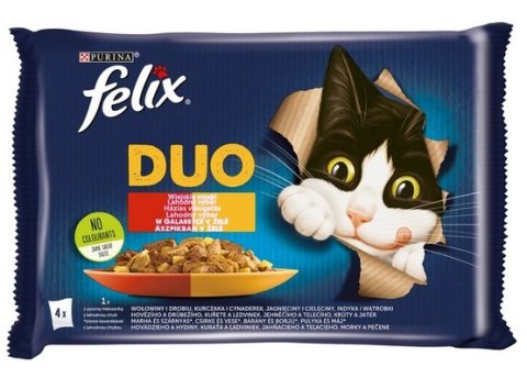Felix Fantastic Duo Wiejskie Smaki galaretka saszetki 4x85g Felix Fantastic Duo Wiejskie Smaki galaretka saszetki 4x85g