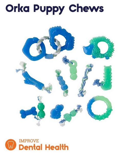 Petstages Grow With Me Ring PS68028 Petstages Grow With Me Ring PS68028