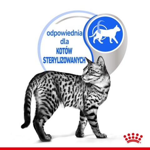 Royal Canin Indoor Sterilised Jelly karma mokra dla kotów dorosłych sterylizowanych, przebywających w domu saszetka 85g Royal Canin Indoor Sterilised Jelly karma mokra dla kotów dorosłych sterylizowanych, przebywających w domu saszetka 85g
