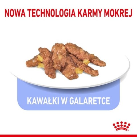 Royal Canin Indoor Sterilised Jelly karma mokra dla kotów dorosłych sterylizowanych, przebywających w domu saszetka 85g Royal Canin Indoor Sterilised Jelly karma mokra dla kotów dorosłych sterylizowanych, przebywających w domu saszetka 85g
