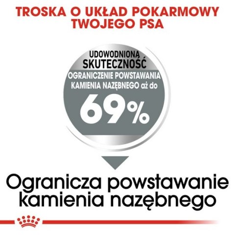 Royal Canin Mini Dental Care karma sucha dla psów dorosłych, ras małych, redukująca powstawanie kamienia nazębnego 1kg Royal Canin Mini Dental Care karma sucha dla psów dorosłych, ras małych, redukująca powstawanie kamienia nazębnego 1kg