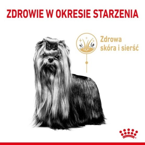 Royal Canin Yorkshire Terrier Adult 8+ karma sucha dla psów starszych rasy yorkshire terrier 1,5kg Royal Canin Yorkshire Terrier Adult 8+ karma sucha dla psów starszych rasy yorkshire terrier 1,5kg